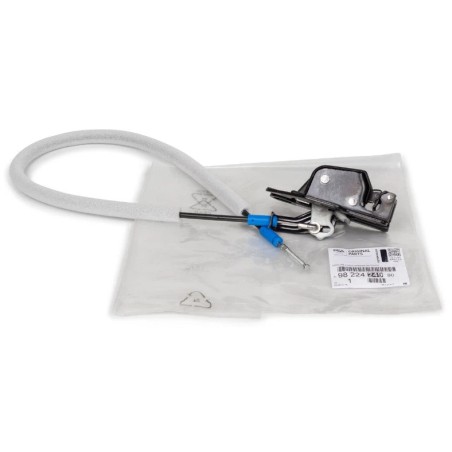 Serrure de Porte Battante Arrière Gauche Pour Citroën Jumpy 9822424980