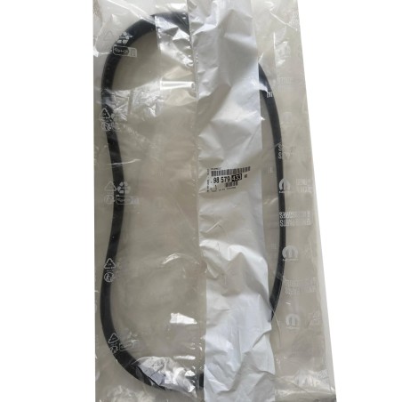 Courroie d'Alternateur Pour Fiat Ford C-Max II Alfa Romeo Citroën 60571125