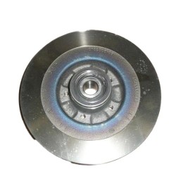 1 Disque de Frein Arrière Pour Renault VELSatis