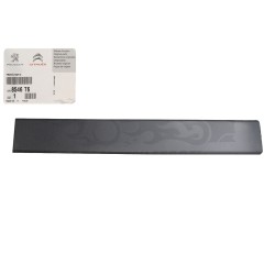 Baguette Moulure Droite Pour Peugeot Opel Fiat Citroën 1637298480 735422720