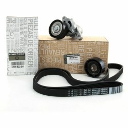 Kit Courroie Accessoire Pour Renault Clio II Dacia Nissan 7701477517, 7701477521