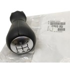 Pommeau Levier de Vitesse Pour Peugeot 206 406 605