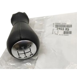 Pommeau Levier de Vitesse Pour Peugeot 206 406 605
