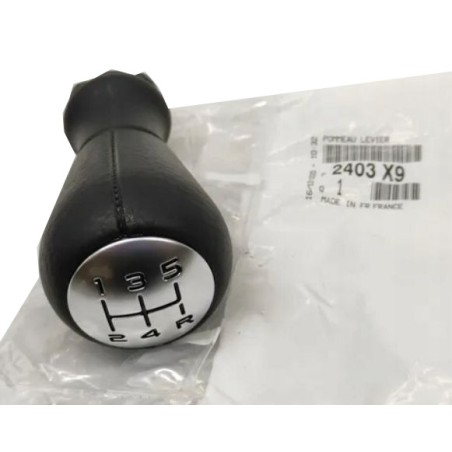 Pommeau Levier de Vitesse Pour Peugeot 206 406 605