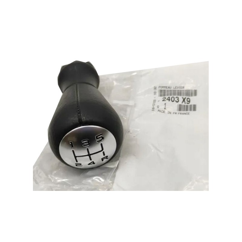 Pommeau Levier de Vitesse Pour Peugeot 206 406 605