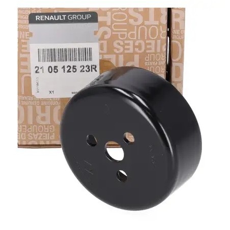 Poulie de Pompe à Eau Pour Renault Arkana I Captur II Dacia Nissan 210104221R
