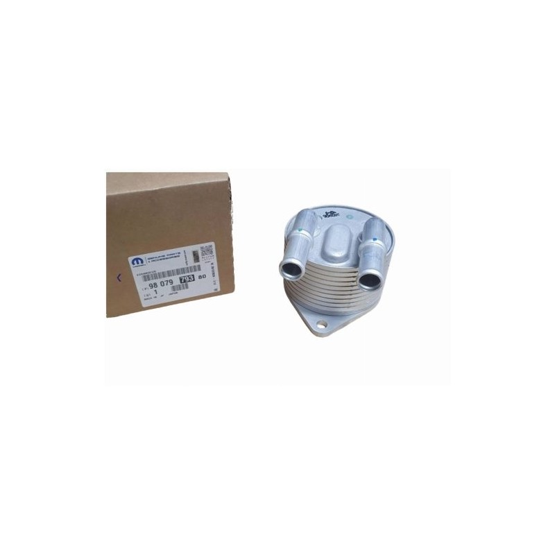 Radiateur d'Huile Boite de Vitesses Pour Peugeot Opel Citroën Berlingo DS