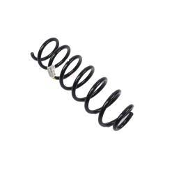 Ressort d'Amortisseur Arrière Pour Renault Megane III 550200026R