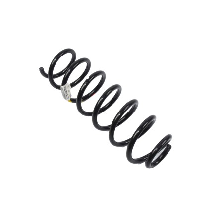Ressort d'Amortisseur Arrière Pour Renault Megane III 550200026R