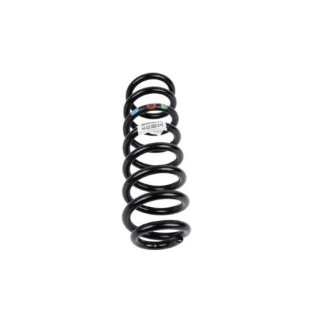 Ressort d'Amortisseur Arrière Pour Renault Espace V Grand Scénic IV 550208061R