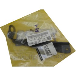 Pour Renault Clio III 8200804045