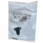 Vis Serrure de Porte Pour Citroën C4 Picasso II