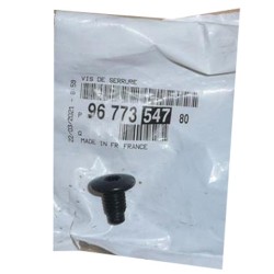 Vis Serrure de Porte Pour Citroën C4 Picasso II
