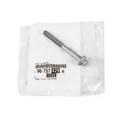 Vis Support d'Injecteur Pour Peugeot Ford Tourneo Transit Citroën 9675742980