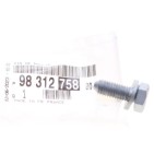 Vis Poulie de Vilebrequin Pour Peugeot 3008 9831275880