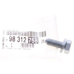 Vis Poulie de Vilebrequin Pour Peugeot 3008 9831275880