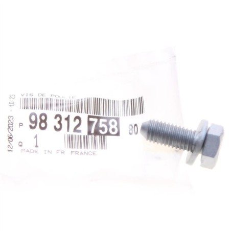 Vis Poulie de Vilebrequin Pour Peugeot 3008 9831275880