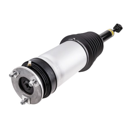 Amortisseur Pneumatique Suspension Arrière Pour Tesla Model X 102746100C