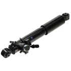 Amortisseur Arrière Droit Pour Lexus NX 4853178011, 4853178012