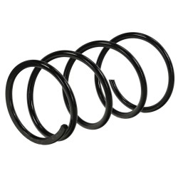 Ressort de Suspension Avant Pour Toyota RAV 4 II 4813142350