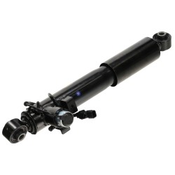 Amortisseur Arrière Droit Pour Lexus NX 4853178011, 4853178012