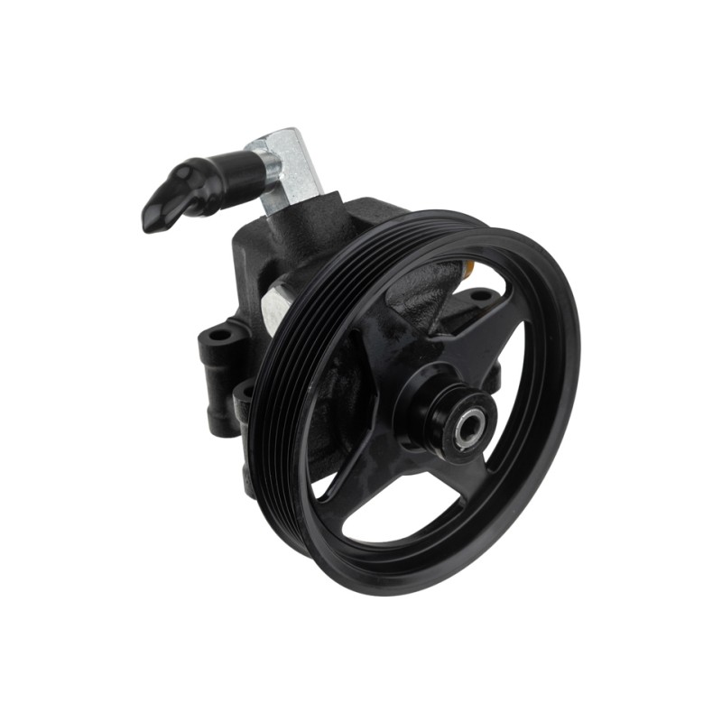 Pompe de Direction Assistée Pour Ford USA Lincoln Mercury Grand Marquis