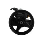 Pompe de Direction Assistée Pour Ford USA Lincoln Mercury Grand Marquis