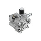 Pompe de Direction Assistée Pour Nissan 491103S500, 491103S505, 491109Z401