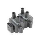 Bobine d'Allumage Pour Renault Dacia Nissan 224336134R 6001543604 2244800Q0E