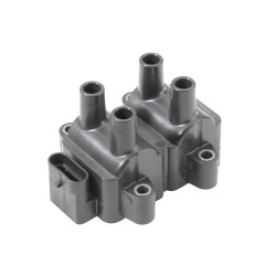 Bobine d'Allumage Pour Renault Dacia Nissan 224336134R 6001543604 2244800Q0E
