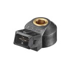 Capteur de Cognement Pour Peugeot VW Bora Seat Skoda 594621 030905377A 96168084