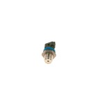 Capteur Pression Carburant Pour Renault Opel Nissan Vauxhall 166384578R