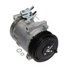 Compresseur de Clim Pour Peugeot Opel Citroën Berlingo DS 9810347280 9815198580