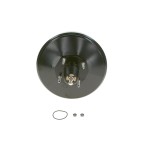 Mastervac Dispositif Système de Freinage Pour Peugeot 307 308 RCZ Citroën C4 I
