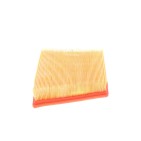 Filtre à Air Pour Jaguar F-Pace Jaguar (Chery) Land Rover 0613868A GX73-9601-BA