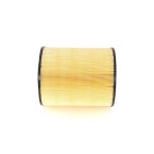 Filtre à Air Pour MITSUBISHI Canter (FB7, FB8, FE7, FE8) VII ME017246 ME423319