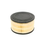 Filtre à Air Pour Ford Ranger 1720719 1921356 AB39-9601-AB AB399601AD