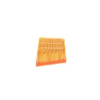Filtre à Air Pour Ford Ecosport Fiesta VII KA Puma Tourneo Transit 2066235