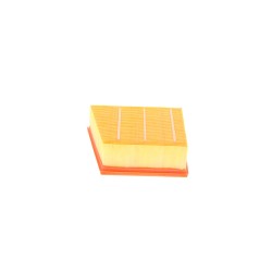 Filtre à Air Pour Ford Ecosport Fiesta VII KA Puma Tourneo Transit 2066235