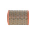 Filtre à Air Pour Renault Dacia Aston Martin DAF 0860038900 6000543577 0224785