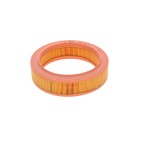 Filtre à Air Pour Renault 4 9 11 19 I II 21 Clio Rapid Super 5 Dacia Duster
