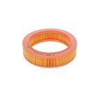 Filtre à Air Pour Renault 4 9 11 19 I II 21 Clio Rapid Super 5 Dacia Duster