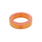Filtre à Air Pour Renault 4 9 11 19 I II 21 Clio Rapid Super 5 Dacia Duster