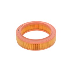 Filtre à Air Pour Renault 4 9 11 19 I II 21 Clio Rapid Super 5 Dacia Duster