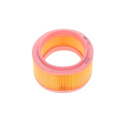 Filtre à Air Pour Renault Clio II Kangoo Logan Express I Megane Thalia Dacia