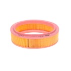 Filtre à Air Pour Renault Clio II Kangoo Logan Express I Megane Thalia Dacia