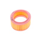 Filtre à Air Pour Renault Clio II Kangoo Logan Express I Megane Thalia Dacia