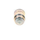 Filtre à Carburant Pour Ford Nissan NISSAN-TRUCK 1952956 164007F408 164007F40A