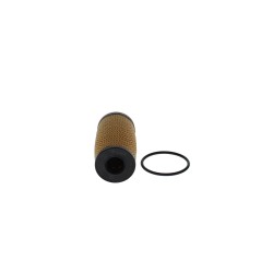 Filtre à Huile Pour Renault Fiat Nissan 152099198R 6000640167 1520800Q2A