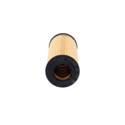 Filtre à Huile Pour Chrysler MERCEDES Puch Ssangyong 5086301AA 0001802609